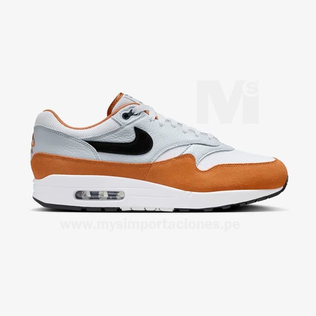 Nike Air Max 1