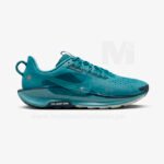 Nike Pegasus Trail 5