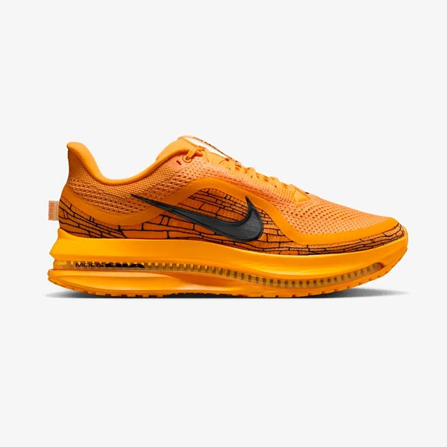 v11797205900 Nike Air Max Pegasus Premium Hello - Imagen 1
